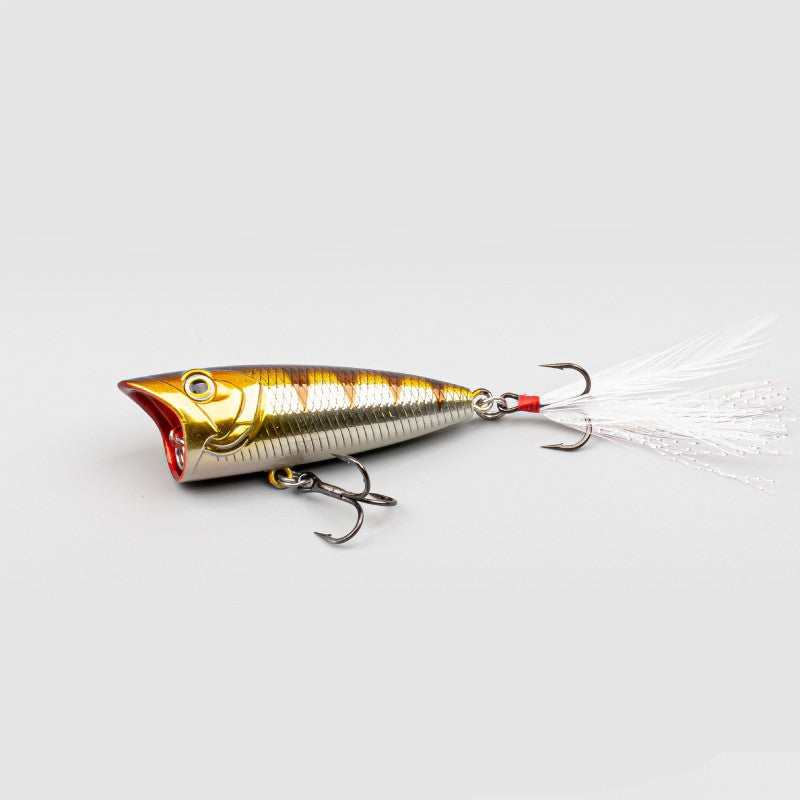 Topwater Popper – FishingHut Co